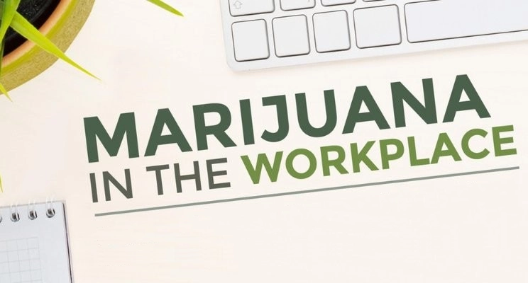 Cannabis and Workplace Safety-