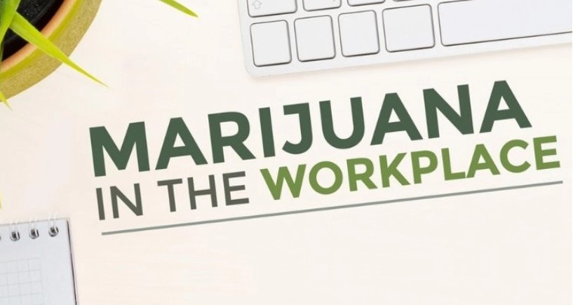 Cannabis and Workplace Safety: Balancing Legalization with a Safe Work Environment